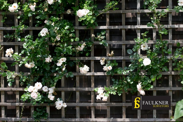 Can I put trellis on my Neighbours garage wall? 2 Do you want to adapt your neighbours garage door and add a trellis Beaconsfield? Talk to Faulkner Surveyor Beaconsfield